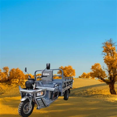 Tricicle de càrrega per a la llar